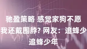 驰盈策略 感觉家狗不愿看我还戴围脖? 网友：追蜂少年