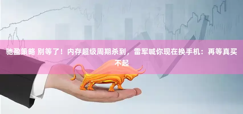 驰盈策略 别等了！内存超级周期杀到，雷军喊你现在换手机：再等真买不起
